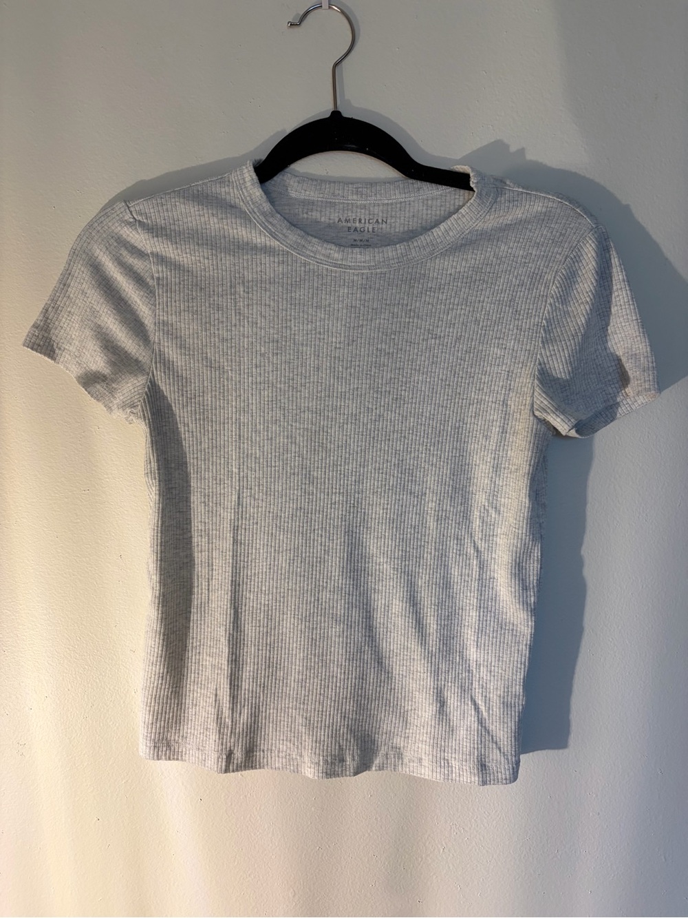 American Eagle Outfitters Light Gray Ribbed Crewneck Shirt